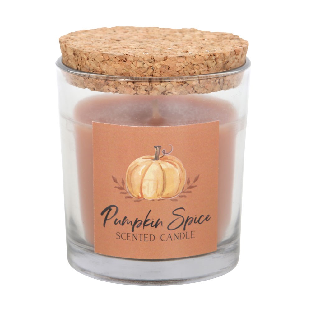 PUMPKIN SPICE AUTUMN CANDLE