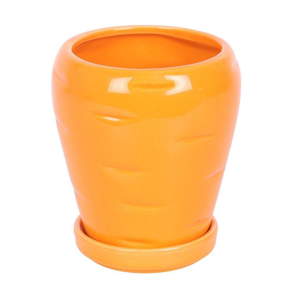 CARROT SHAPED PLANT POT WITH PARSLEY SEED BALLS