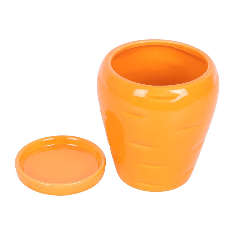 CARROT SHAPED PLANT POT WITH PARSLEY SEED BALLS
