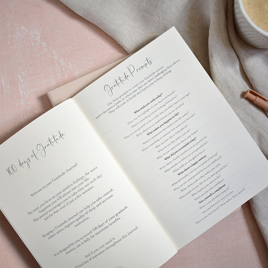 Rainbow 100 Day Gratitude Journal with guided pages