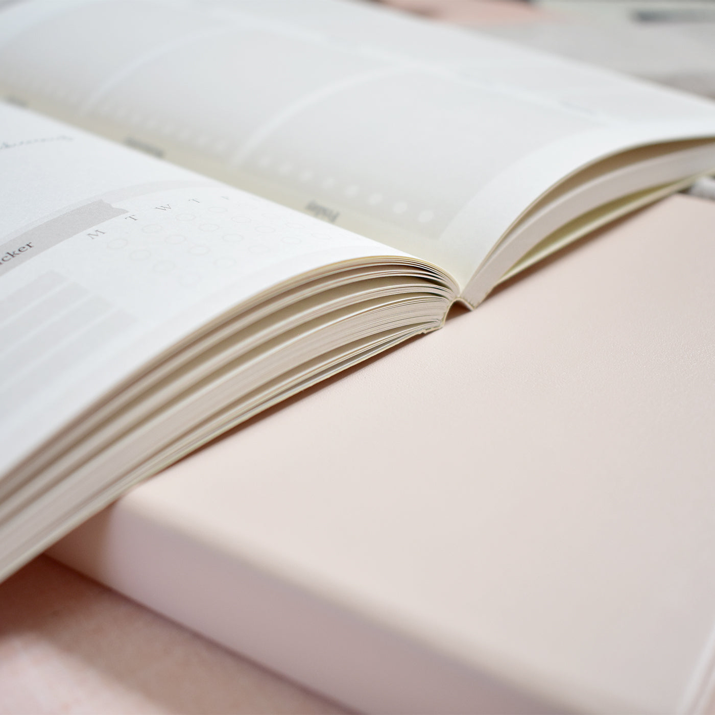 Weekly Planner Lay Flat 12 Months Undated – Arch