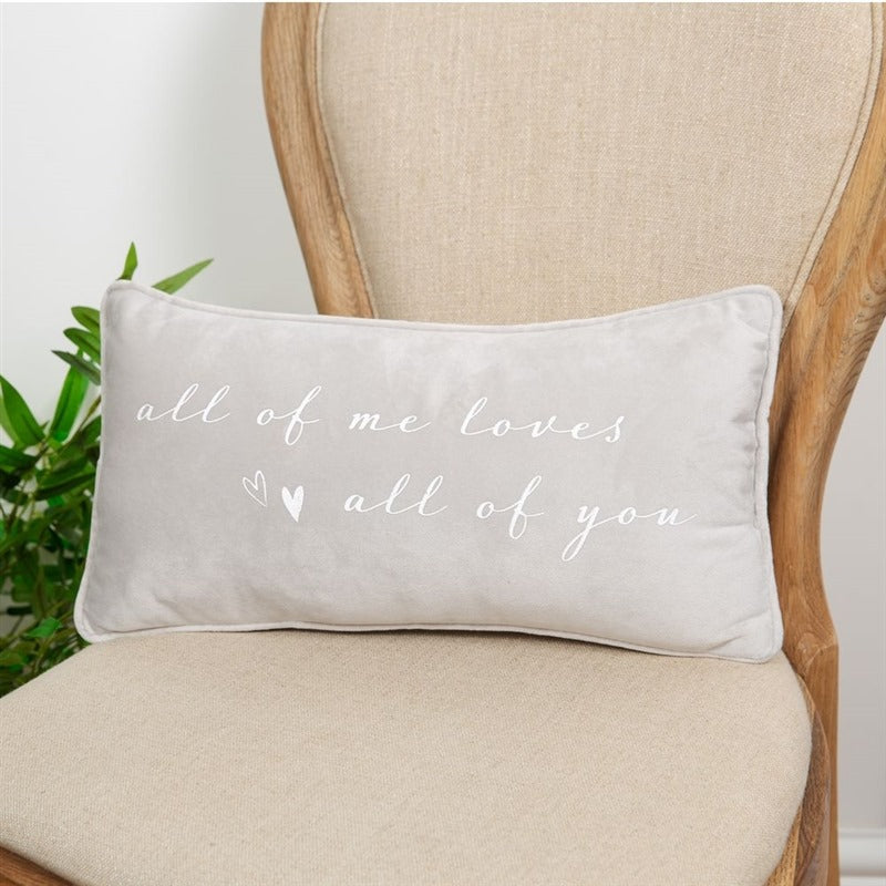 All of Me Loves all of You Cushion