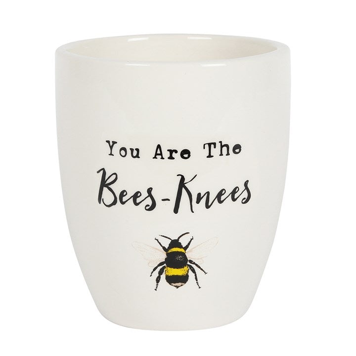 THE BEES KNEES CERAMIC PLANT POT