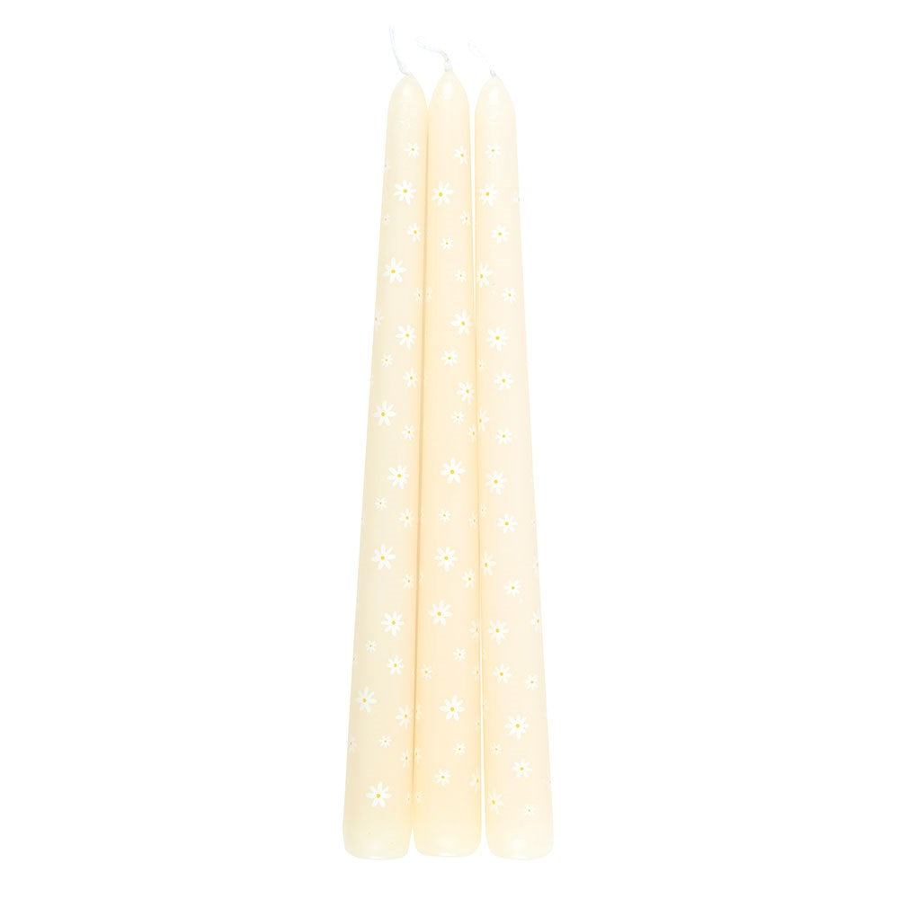 SET OF 3 CARROT PATCH DAISY TAPER CANDLES