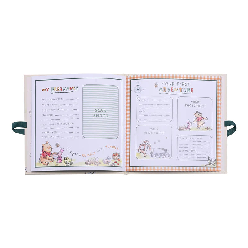 DISNEY WINNIE THE POOH FIRST YEAR RECORD BOOK