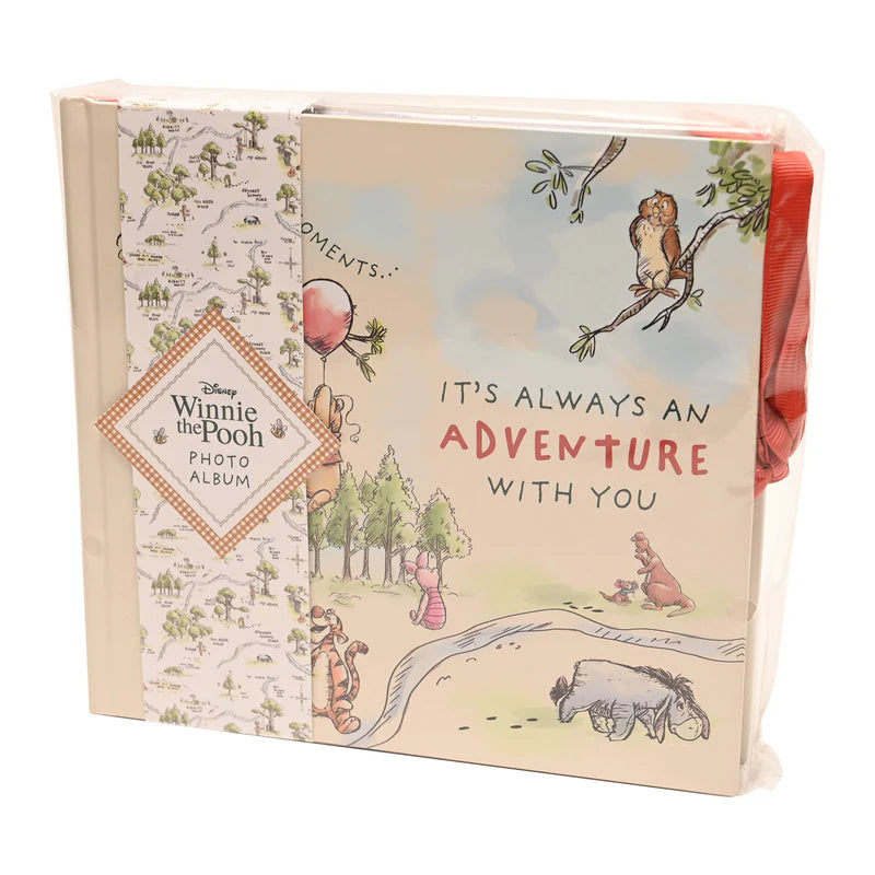 DISNEY WINNIE THE POOH PHOTO ALBUM