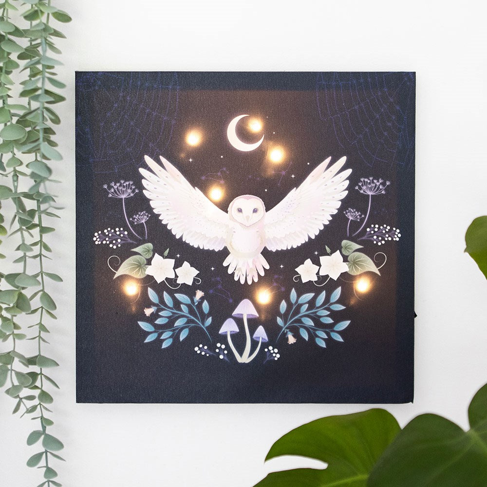 NIGHT OWL LIGHT UP CANVAS PLAQUE