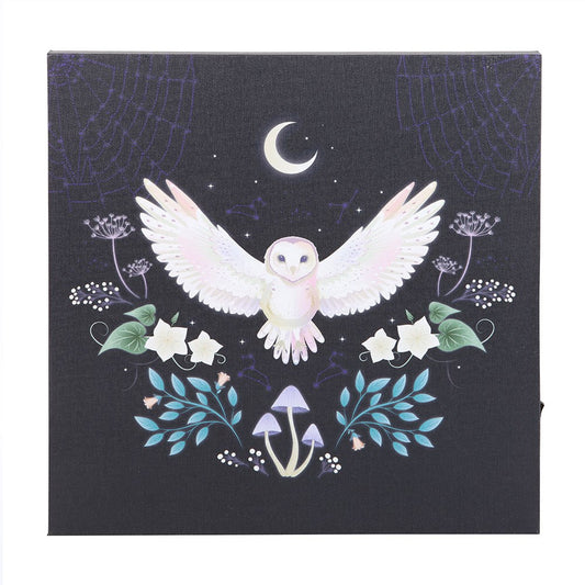 NIGHT OWL LIGHT UP CANVAS PLAQUE