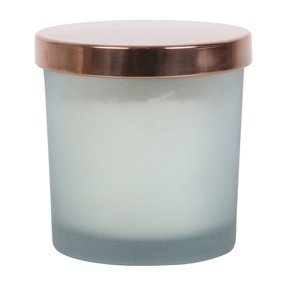 POSITIVE ENERGY WHITE SAGE CRYSTAL CHIP CANDLE