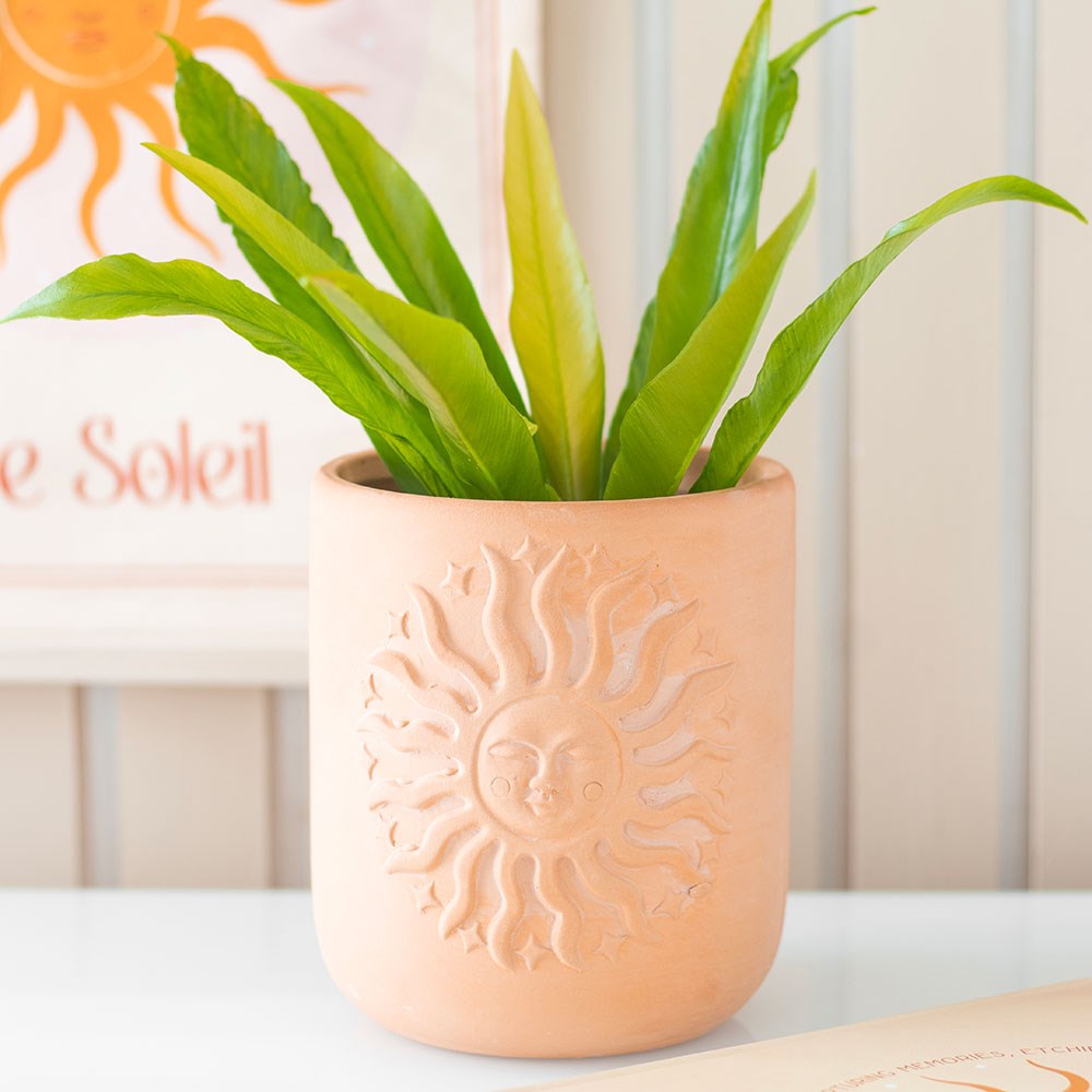 TERRACOTTA SUN PLANT POT