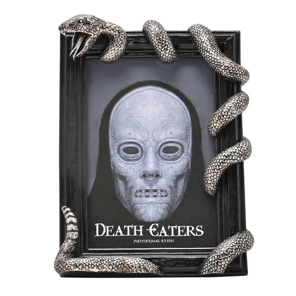 WARNER BROS HARRY POTTER DARK ARTS FRAME - NAGINI