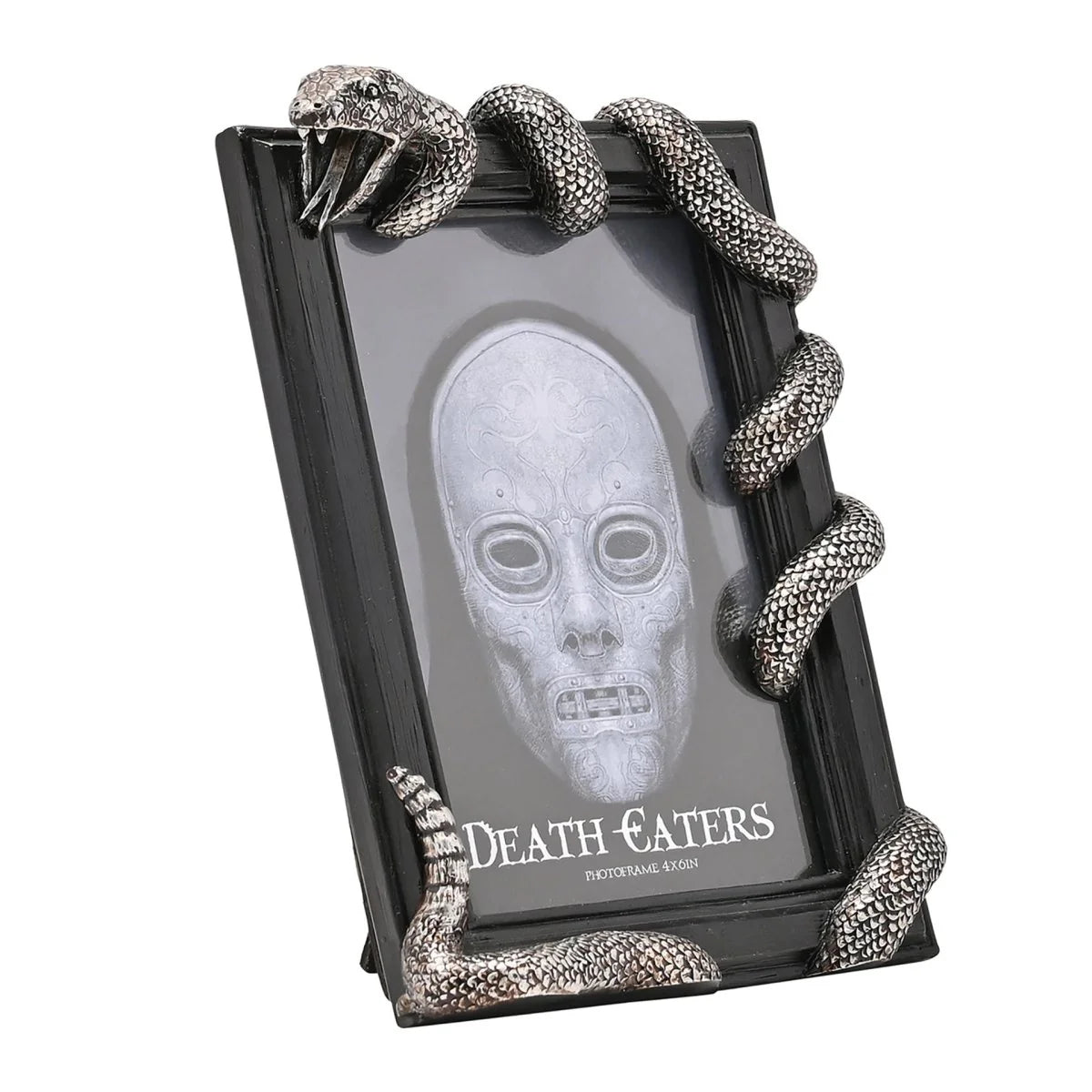 WARNER BROS HARRY POTTER DARK ARTS FRAME - NAGINI